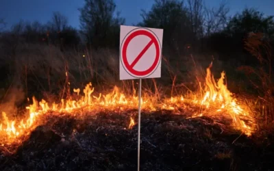All About Burn Bans in New York, Long Island, and Queens