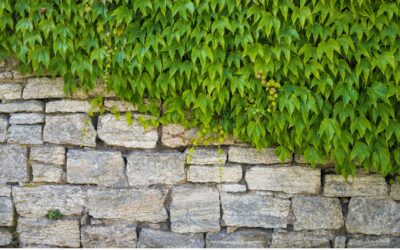 Retaining Wall Contractors in Long Island, Brooklyn, Queens & The Bronx: Your Trusted Partner for Strong Foundations