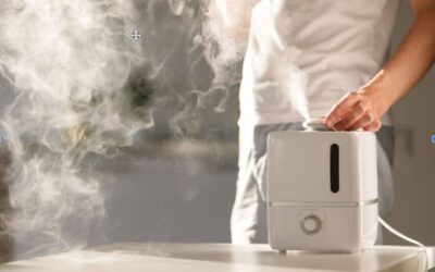 Can Humidifiers Cause Mold? Everything You Need to Know