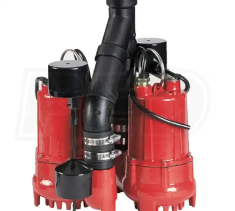 A duplex sump pump