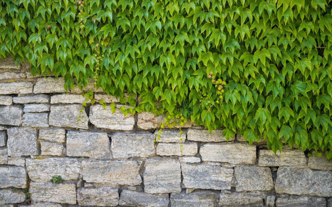 A cobblestone retaining wall that has been installed by the retaining wall contractors in New York