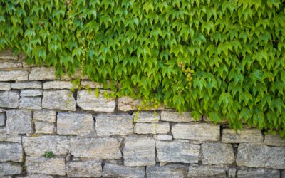 Retaining Wall Contractors in Long Island, Brooklyn, Queens & The Bronx: Your Trusted Partner for Strong Foundations