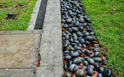 Types of Well Drainage Systems: What Works Best for Long Island, Brooklyn, Queens, and the Bronx?