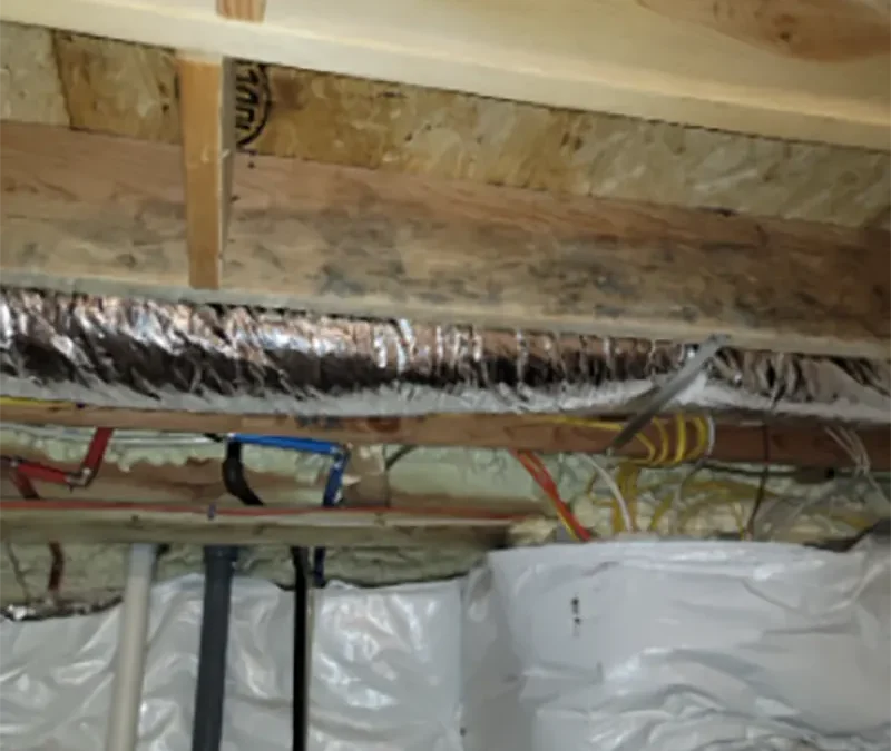 Case Study: Basement Mold Remediation in Smithtown, NY