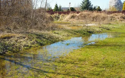 Sloped Yard Drainage: How to Fix Drainage Issues in Your Yard the Right Way