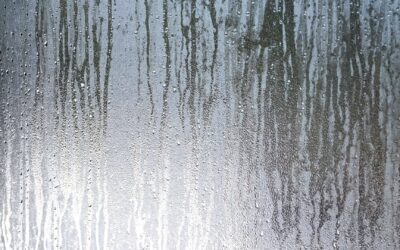 What Does a Dehumidifier Do? Understanding Its Role in Health and Home Comfort