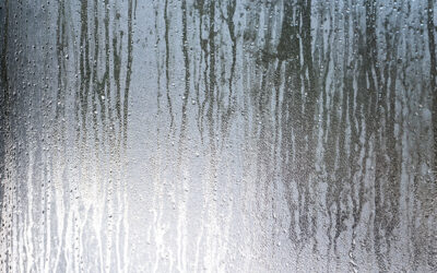 What Does a Dehumidifier Do? Understanding Its Role in Health and Home Comfort