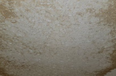 Case Study: Mold Remediation and Seal Plate Waterproofing in Huntington, NY