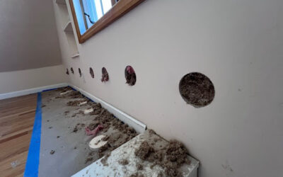 Case Study: Dense-Packed Cellulose Insulation Installation in Jamaica, NY