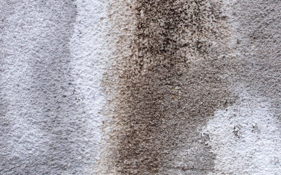 Water-damaged textured crawl space
