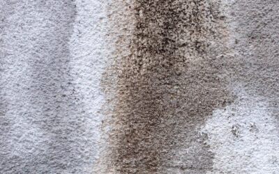 Crawl Space Vapor Barrier: Protect Your Home from Moisture and Mold