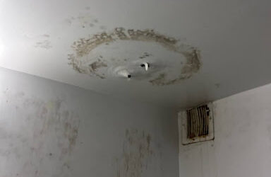 Bathroom Mold Remediation – Brooklyn, NY