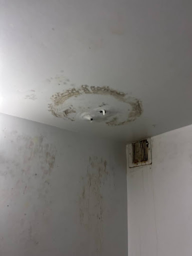Mold Remediation in Bathroom – Brooklyn, NY – A Bathroom Ceiling with Mold Growth
