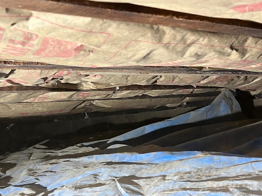 Case Study: Crawl Space Mice Infestation Remediation in Long Island, NY