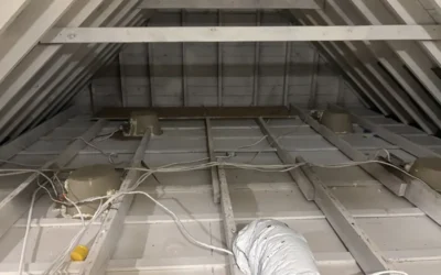 Case Study: Attic Insulation and Mold Prevention in Brooklyn, NY