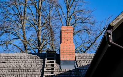 Case Study: Chimney Repair and Stainless Steel Liner Installation in Brooklyn, NY