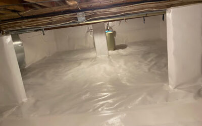 Crawl Space Encapsulation and Vermin Sealing in Amityville, NY