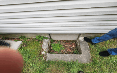 Case Study: Crawl Space Insulation and Window Well Upgrade in Massapequa, NY