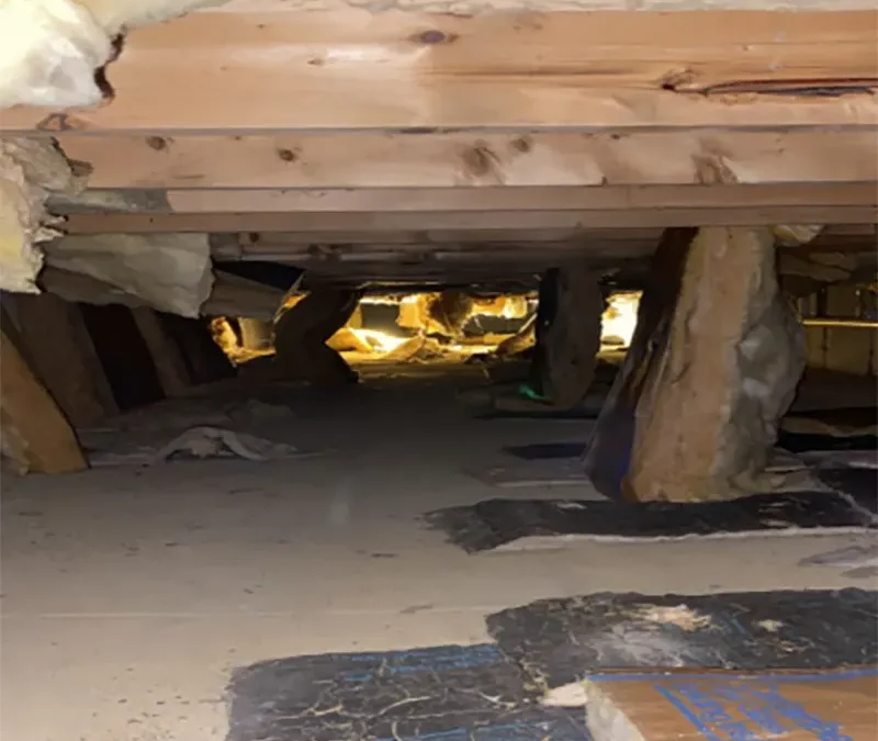 Case Study: Crawlspace and Exterior Wall Insulation Project in Manorville, NY
