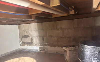 Case Study: Crawlspace Waterproofing, Rim Joist Insulation & Downspout Drainage System – Westbury, NY