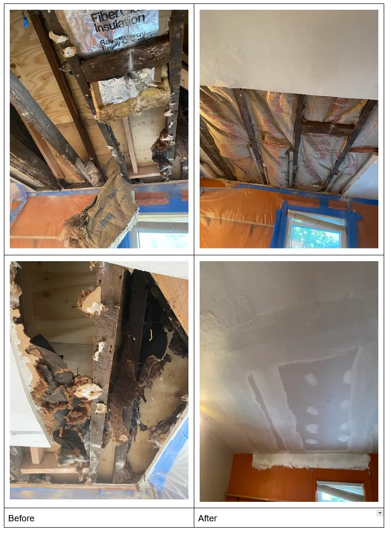 damned plaster ceiling before-after