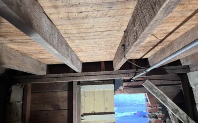 Case Study: Crawl Space Access Door Installation & Closed-Cell Spray Foam Insulation in Queens, NY