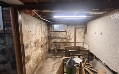 Case Study: Basement Mold Remediation & Waterproofing in Brooklyn, NY