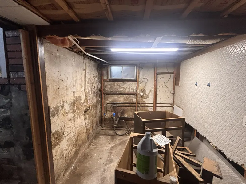 Case Study: Basement Mold Remediation & Waterproofing in Brooklyn, NY