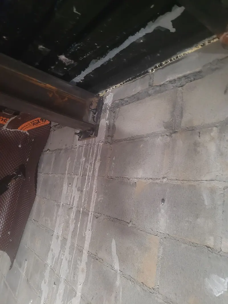 mold inspection in progress