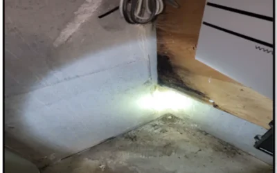 Case Study: Mold Remediation and Waterproofing in Syosset, NY