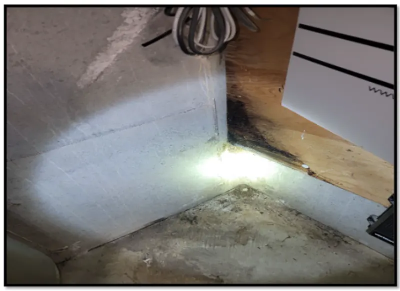Case Study: Mold Remediation and Waterproofing in Syosset, NY