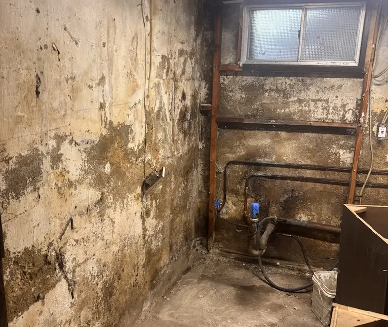 Case Study: Mold Remediation and Foundation Drainage Installation in Halesite, NY