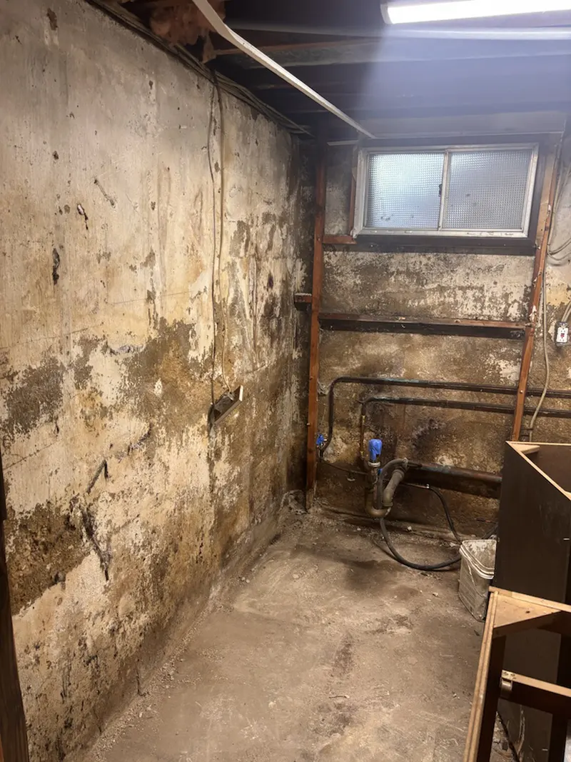 Mold can be seen present on the wall and floor of the property in Halesite, NY