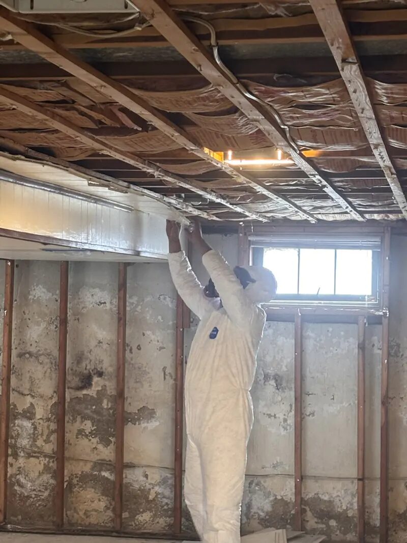 Mold remediation in progress in the property