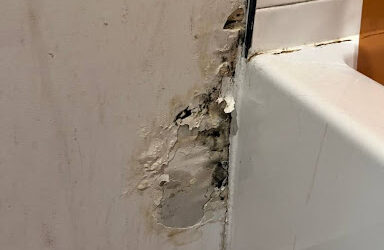 Case Study: Mold Remediation in a Bathroom – Brooklyn, NY