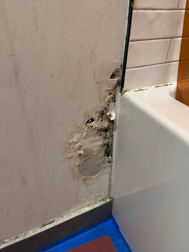 Case Study: Mold Remediation in a Bathroom – Brooklyn, NY