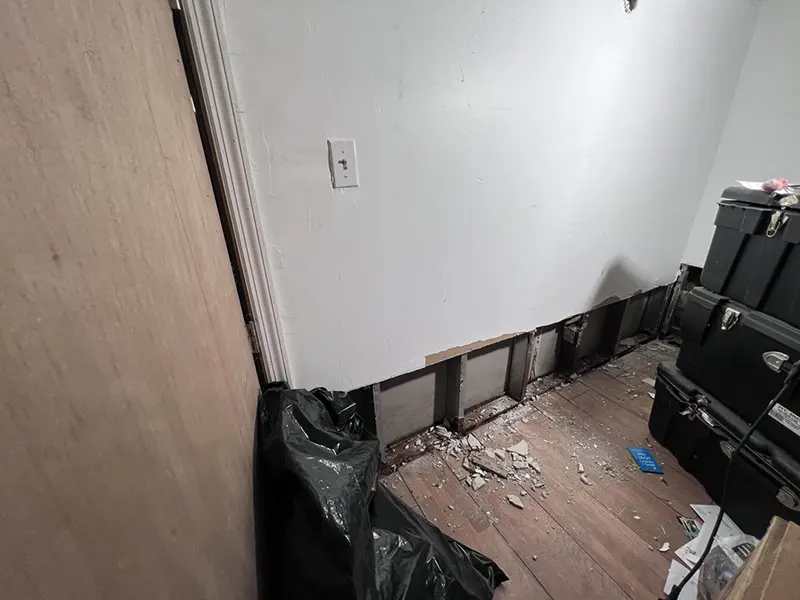 Mold Removal and Framing Demolition – Brooklyn, NY Basement Cleanout by Zavza Seal LLC