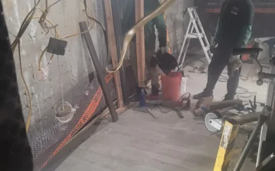 Case Study: Expert Basement Mold Remediation in Queens, NY