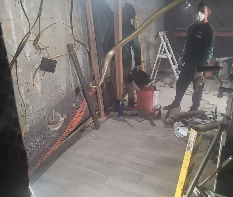 Case Study: Expert Basement Mold Remediation in Queens, NY