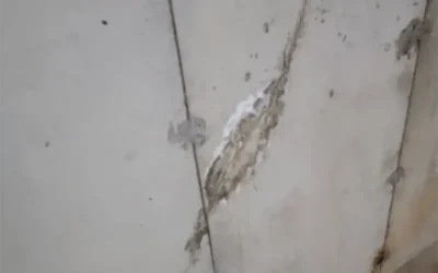 Case Study: Basement Crack Repair and Waterproofing in Ridge, NY