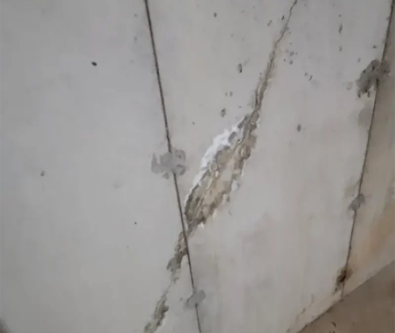 Case Study: Basement Crack Repair and Waterproofing in Ridge, NY