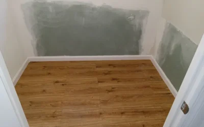 Case Study: Waterproofing, Structural Repair, and Mold Remediation in Huntington, NY