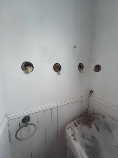 Case Study: Wall and Ceiling Insulation and Sealing Project – Brooklyn, NY