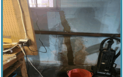 Case Study: Foundation Crack Repair and Basement Waterproofing in Bellmore, NY
