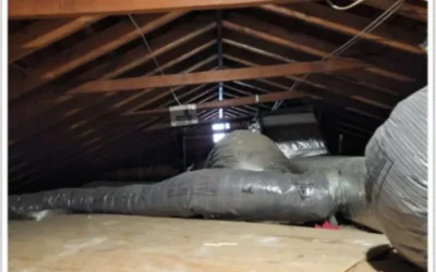 Case Study: Attic Insulation Project in Lynbrook, NY