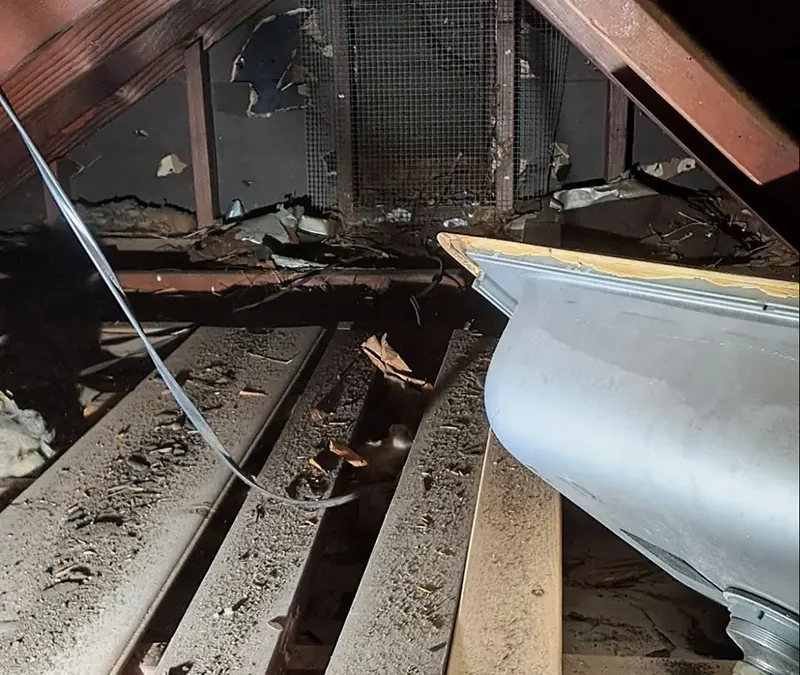 Case Study: Attic Insulation Project in Levittown, NY