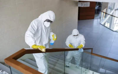 Commercial Mold Cleanup in Long Island, Brooklyn, Queens, and the Bronx