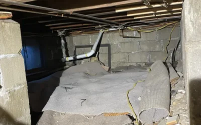 Case Study: Crawl Space Encapsulation and Mold Prevention in Carle Place, NY