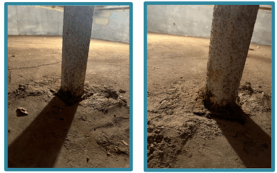 Case Study: Crawl Space Structural Support Upgrade in Islip, NY