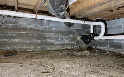 The Aftermath of Neglecting Crawl Spaces: What Lurks Beneath Could Destroy Your Home